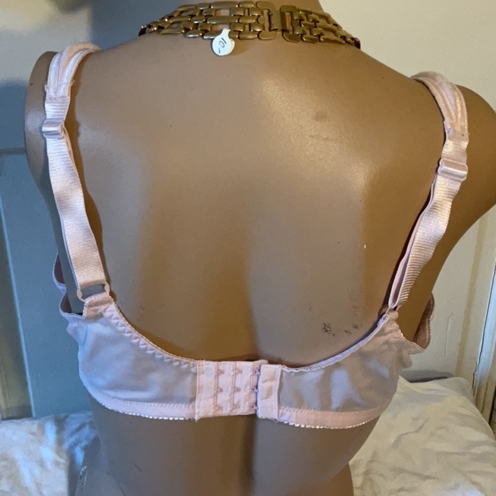 Women’s Delta Burke 38C Pink Embroidered Bra - Picture 2 of 8